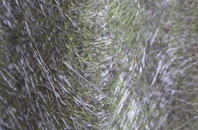 Richards Castle fibreglass roof work